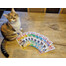 ANIMONDA Carny Senior Bœuf, poulet et fromage 400 g pour les chats âgés de 7 ans et plus