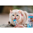 APPLAWS Cat Adult Chicken - Poulet sans céréales pour chats adultes - 2 kg