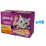 APPLAWS Cat Tin - Filet de thon en gelée - 72x70g