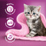WHISKAS Junior Bustina 52x85g Classic Meals cibo umido per gattini in salsa con manzo e pollo