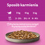 WHISKAS Adult 48x85g Alimento umido in gelatina di pollame per gatti adulti con: pollo, tacchino, pollame, anatra