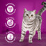 APPLAWS Cat Tin Senior - Filet de thon avec sardine en gelée pour chats âgés - 6x70 g