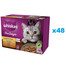 APPLAWS Cat Tin Senior - Filet de thon et saumon en gelée pour chats âgés - 6x70g