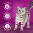 WHISKAS Adult 48x85g Fish Delicacies cibo umido per gatti adulti in gelatina con: salmone, tonno, merluzzo, pesce bianco