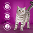 APPLAWS Cat Tin - Filet de thon en gelée - 6x70g