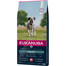 APPLAWS Dry Cat Adult kurczak 3 x 2 kg + Cat Treat 20 g schab wołowy GRATIS