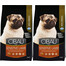 FARMINA Cibau Sensitive Lamb MINI cibo per cani con digestione sensibile con agnello 2 x 2,5kg