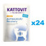 KATTOVIT Feline Diet Recovery Chicken kurczak 24 x 85 g