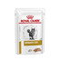 FARMINA N&D Dog Quinoa Digestion Lamb & Fennel - Agneau, fenouil & quinoa pour chiens adultes avec problèmes digestifs - 800 g