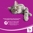 WHISKAS 1+ Agnello 400g