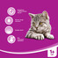 WHISKAS 1+ Agnello 400g