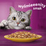 WHISKAS Adult 28x85g cibo umido per gatti adulti in gelatina di pollo