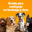 PEDIGREE Adult MINI 6 x 2kg con pollame e verdure alimento secco completo per cani adulti di piccola taglia
