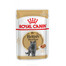 APPLAWS Cat Tin Senior - Filet de thon et saumon en gelée - 24x70g