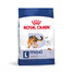 ROYAL CANIN Maxi Adult 10kg karma sucha dla psów dorosłych, do 5 roku życia, ras dużych