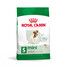 ROYAL CANIN Mini Adult 2kg karma sucha dla psów dorosłych, ras małych
