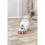 Cat Activity Hide'n'Sniff Bowl zabawka edukacyjna dla kota 18 cm plastik