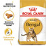 ROYAL CANIN Bengal Adult karma sucha dla kotów dorosłych rasy bengal 8x2 kg