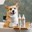 VET EXPERT Detox Care Vitalizing Shampooing Chiens, chats 250 ml