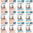 SCHESIR Assortiment pour chat Mix de saveurs 12×85 g (Poulet + Thon)
