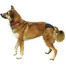 TRIXIE Culotte de grossesse XL 60-70 cm noir