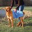 TRIXIE Serviette 66 × 43 cm