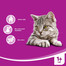 WHISKAS Dentabits 40g