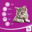 WHISKAS Sterile Poulet 0,3kg