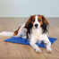 TRIXIE Tapis de refroidissement