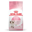 ROYAL CANIN Kitten 36 0.4 kg