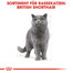 ROYAL CANIN British shorthair 34 2kg