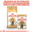 ROYAL CANIN British shorthair 34 2kg