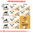 ROYAL CANIN British shorthair 34 2kg