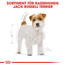 ROYAL CANIN Jack Russell Terrier adult 1.5 kg