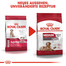 ROYAL CANIN Medium ageing 10 3 kg