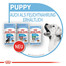 ROYAL CANIN X-Small junior 1.5 kg