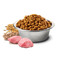 FARMINA N&D low grain chicken & pomegrante adult cat 0.3 kg