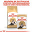 ROYAL CANIN Persian 2 kg