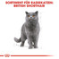 ROYAL CANIN British shorthair 34 10 kg