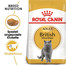 ROYAL CANIN British Shorthair 2 kg