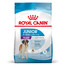 ROYAL CANIN Giant junior 15 kg
