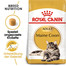 ROYAL CANIN Maine Coon 10 kg