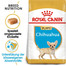 ROYAL CANIN Chihuahua Junior 1.5 kg