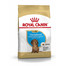 ROYAL CANIN Teckel chiots - 1.5 kg