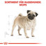 ROYAL CANIN Pug adult 1.5 kg