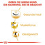 ROYAL CANIN Pug adult 1.5 kg