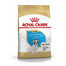 ROYAL CANIN French bulldog junior 3 kg