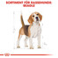 ROYAL CANIN Beagle adult 12 kg