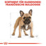 ROYAL CANIN French bulldog adult 3 kg