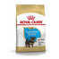 ROYAL CANIN Yorkshire terrier junior 1.5 kg